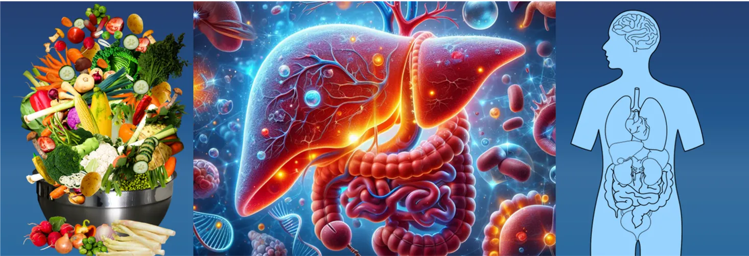 Inzicht in voeding: De kinesiologische weg naar een gezond metabolisme.